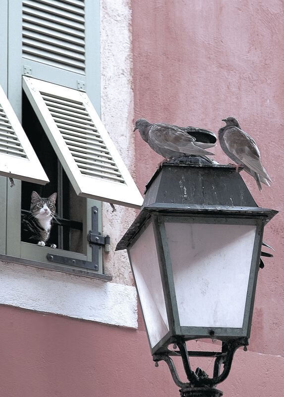 从深渊到巅峰，格列兹曼的救赎之夜与多特蒙德的跨洲横扫