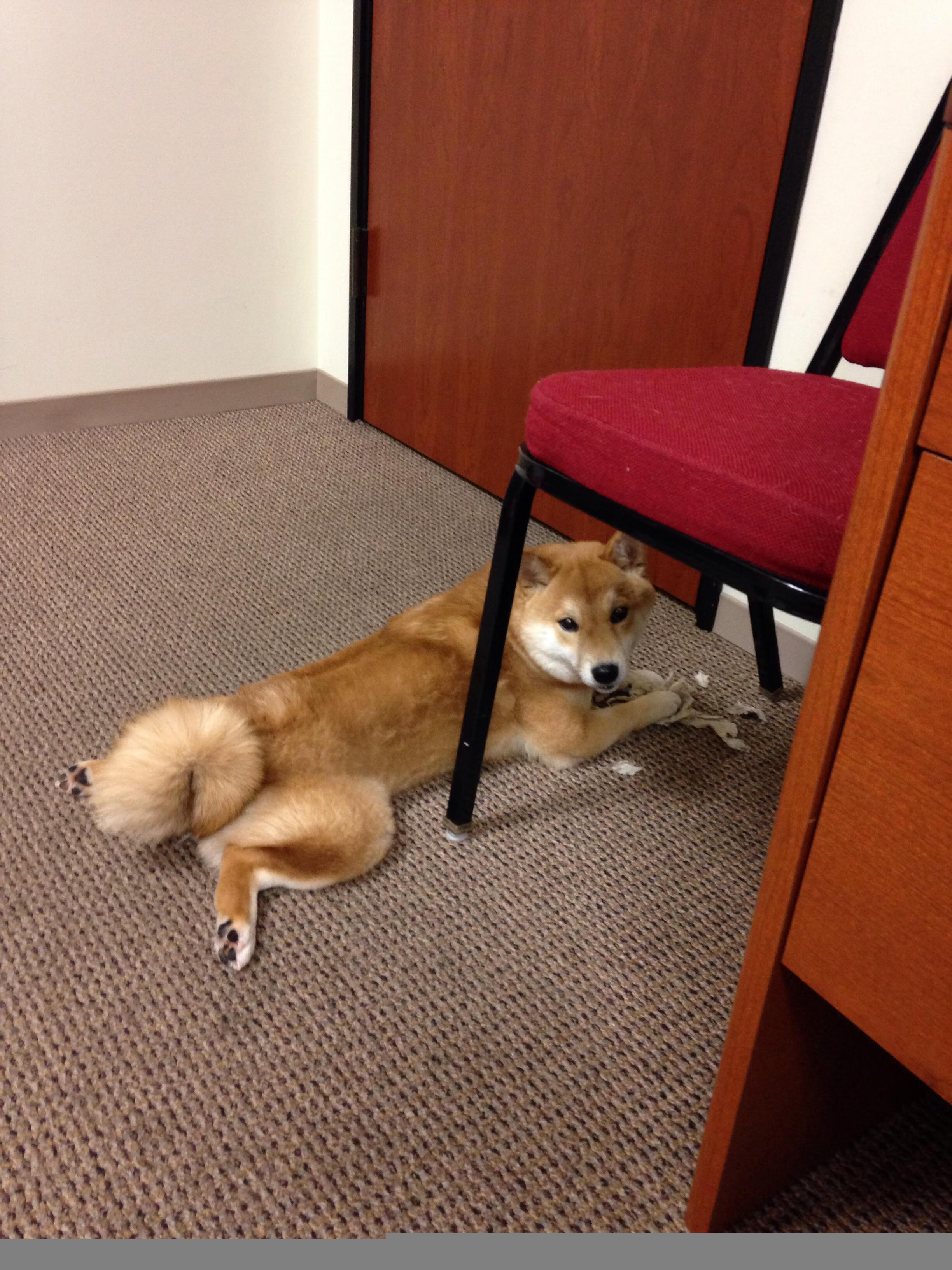 欧冠淘汰赛之夜,斯通斯,那个令对手完全无解的防线磐石